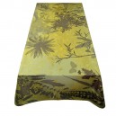 Nappe Obamia